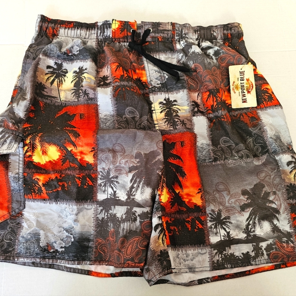 Men's swim trunks,  colorful beach prints,  Newport Blue, 2xl